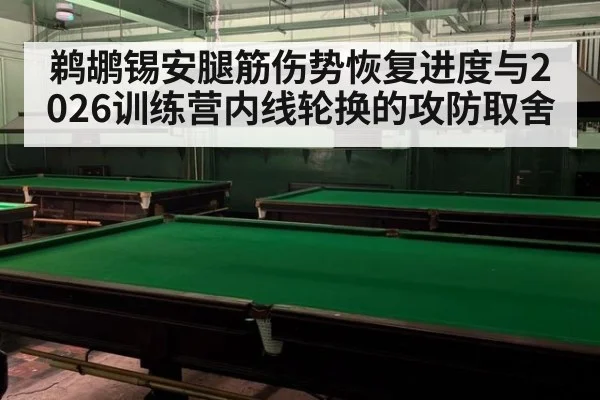 鹈鹕锡安腿筋伤势恢复进度与2026训练营内线轮换的攻防取舍